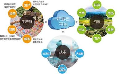 他山之石可以攻玉 借鑒美國農業信息化經驗，以信息技術咨詢服務升級中國農民